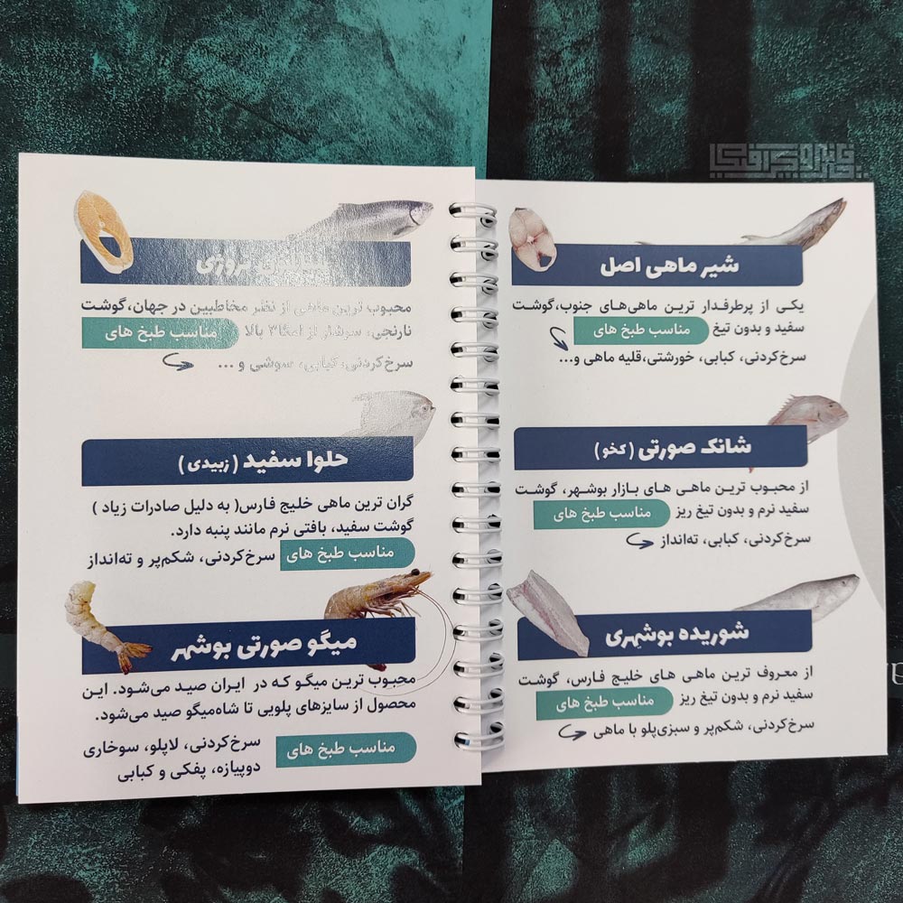 تفاوت-بازتاب-نور–برگه-سمت-راست-(جلد)-سلفون-مات-برگه-چپی-گلاسه-بدون-پوشش تفاوت بازتاب نور برگه سمت راست (جلد) سلفون مات برگه چپی گلاسه بدون پوشش